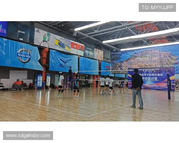 上海排球队边路渗透战术解析与深度剖析排球技术的魅力与挑战