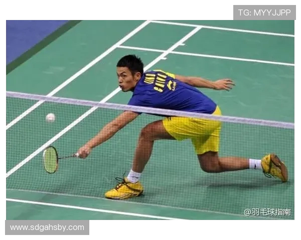 南京羽毛球队战术解析与对比深度剖析球队优势与不足 南京羽毛球队战术解析与对比深度剖析球队优势与不足