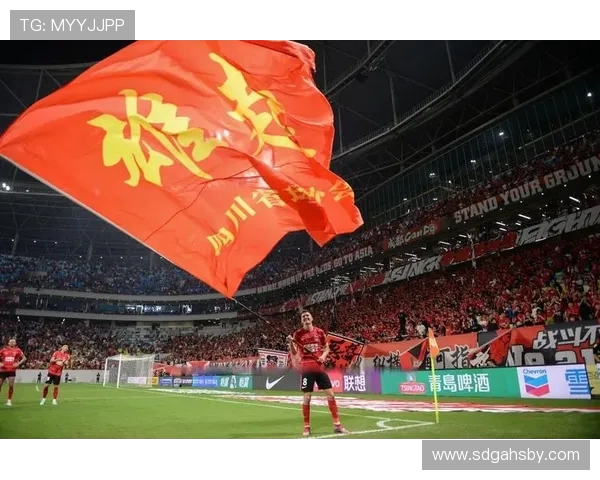 成都足球队在城市联赛积分榜中以55分稳居第一名引发热议