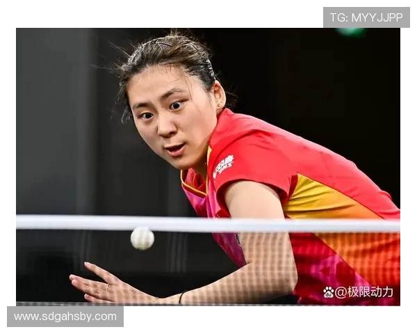 权威发布乒乓球个人能力实力榜单揭晓顶尖选手风采与实力对比