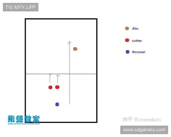 深入分析北京飞盘队的区域防守策略与战术执行细节 深入分析北京飞盘队的区域防守策略与战术执行细节