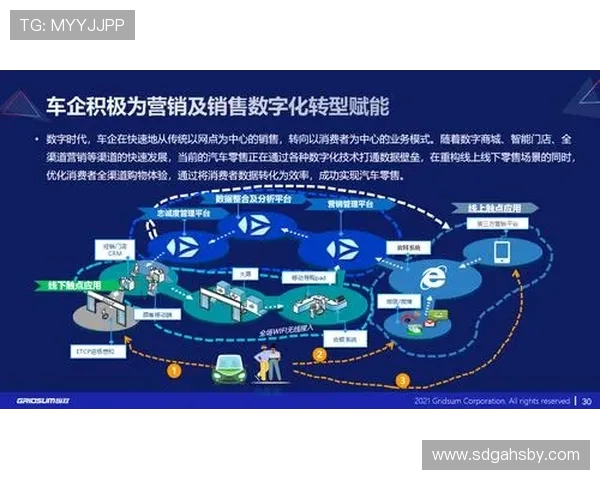 深圳排球队的转型之路:深度解析排球运动的变革与发展 深圳排球队的转型之路:深度解析排球运动的变革与发展