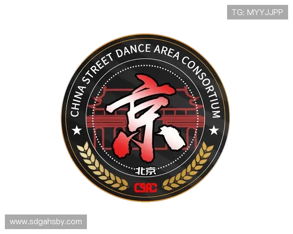 街舞文化的崛起：探秘北京街舞队的运营模式与发展策略