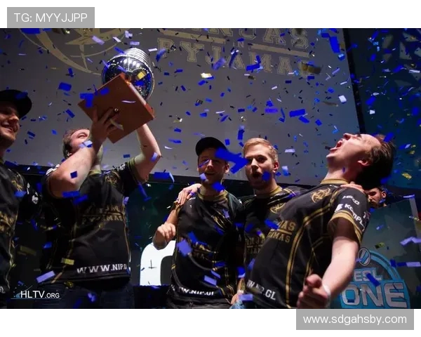 Fnatic战队荣登电竞巅峰一路披荆斩棘成就传奇辉煌