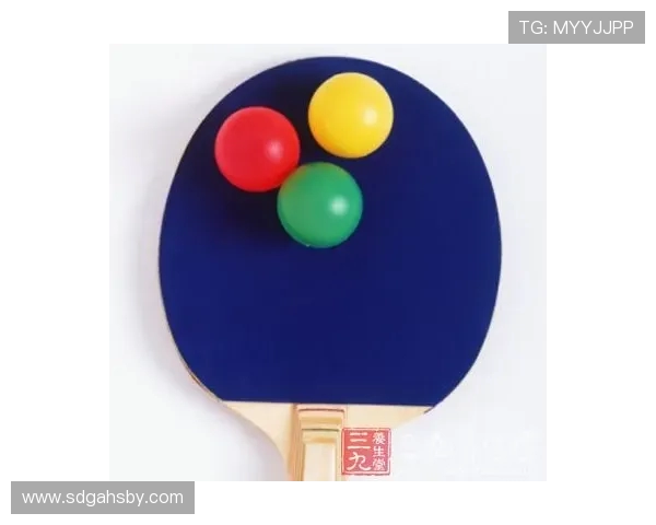 乒乓球运动：技术、规则和训练方法探究