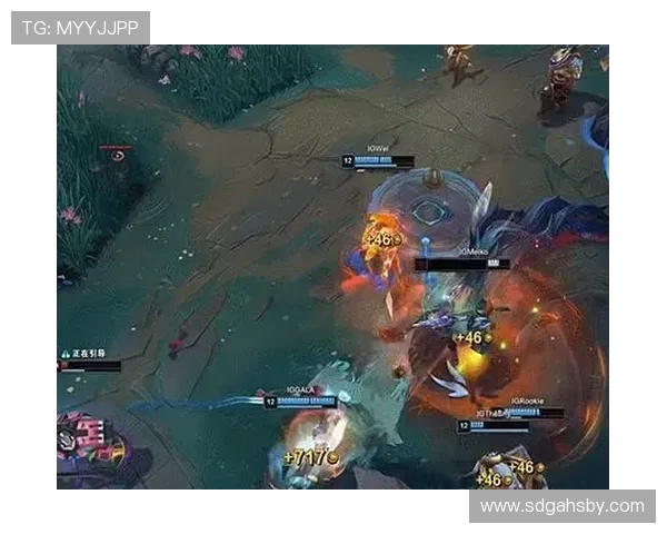 以Meiko辅助为核心探究职业赛场团队协作与战术体系构建