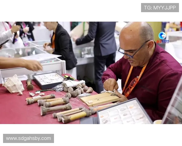 全球球迷聚焦世界杯盛事洞见竞技与文化交融魅力延续时代激情脉动 全球球迷聚焦世界杯盛事洞见竞技与文化交融魅力延续时代激情脉动