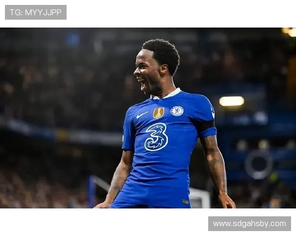 卢卡库:从天才前锋到足坛传奇的蜕变之路与未来展望